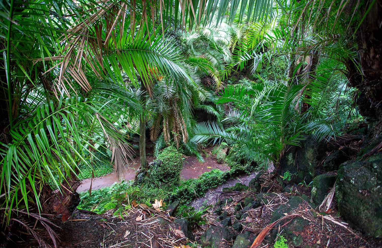 Park Jardim de Santana