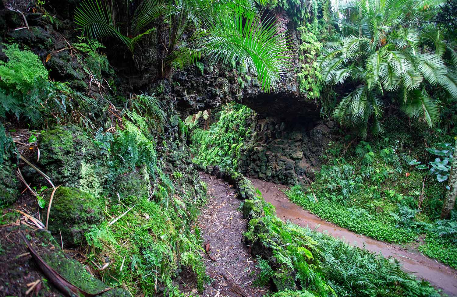 Park Jardim de Santana